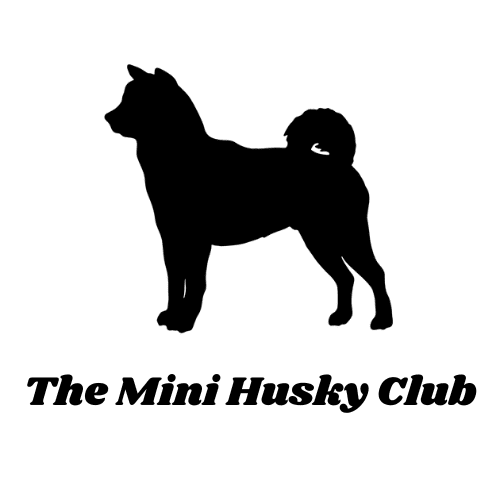 The mini husky club logo